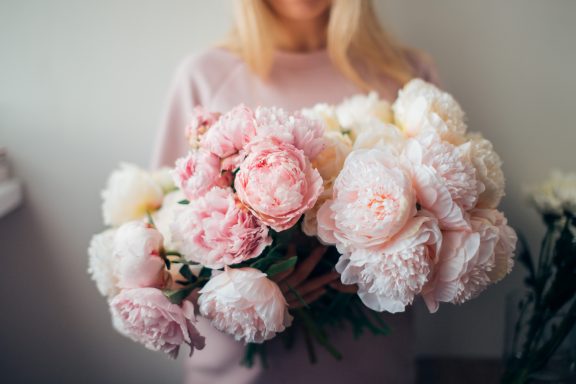 A lovely bunch!! A person holding a large bouquet of soft pink and white peonies.