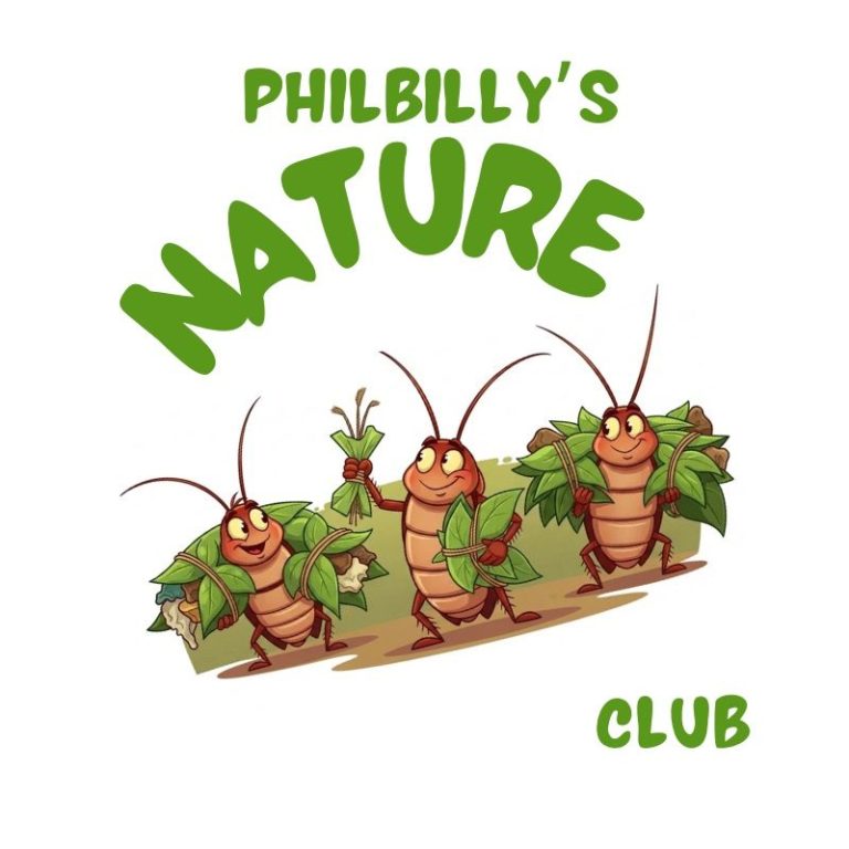 Logo featuring cartoon insects surrounded by leaves, promoting "Philbilly's Nature Club."